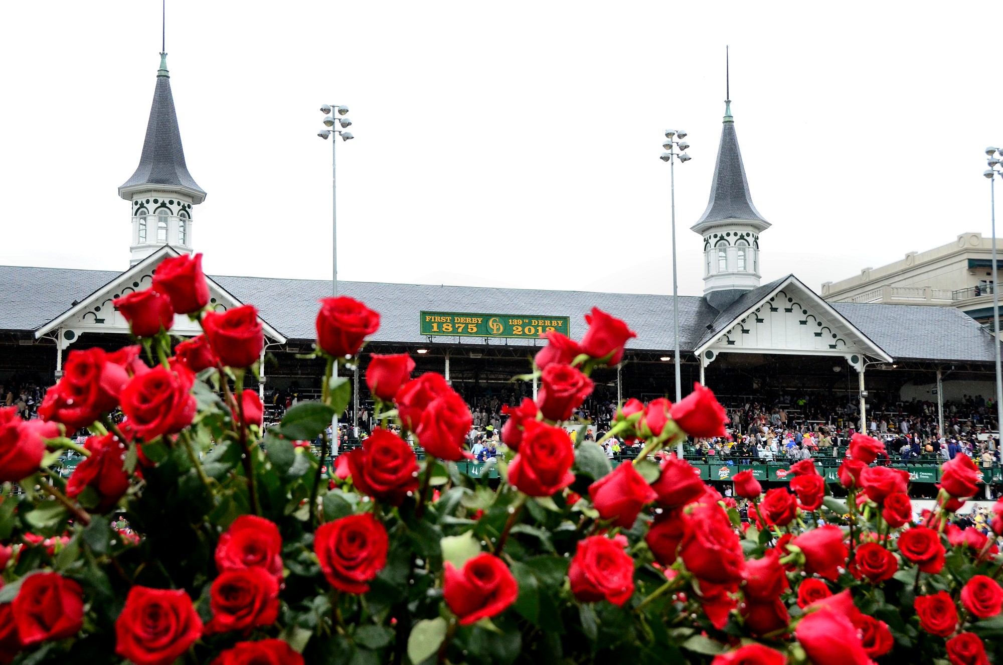 Home Kentucky Derby Tours