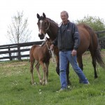 Mare and colt at Claybank Farm