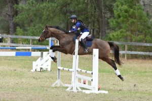 Maddy-eventer-AECs-800x533