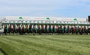 PHOTO-Steriline-Starting-Gate-scaled