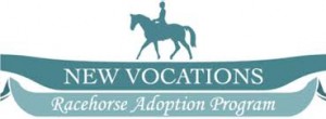 new vocations